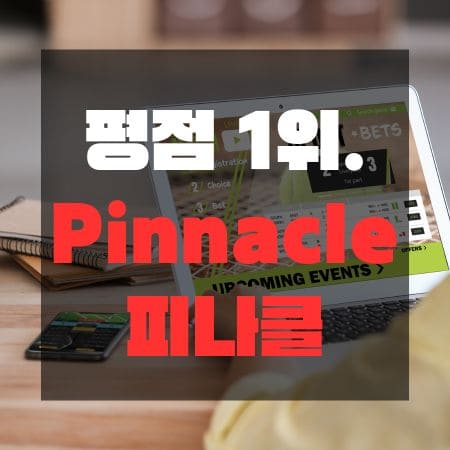 안전놀이터 평점1위 피나클